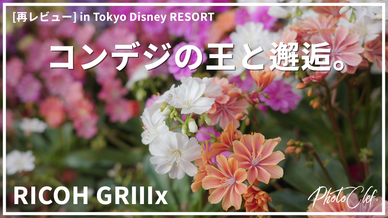 RICOH GRⅢx in Tokyo Disney RESORT