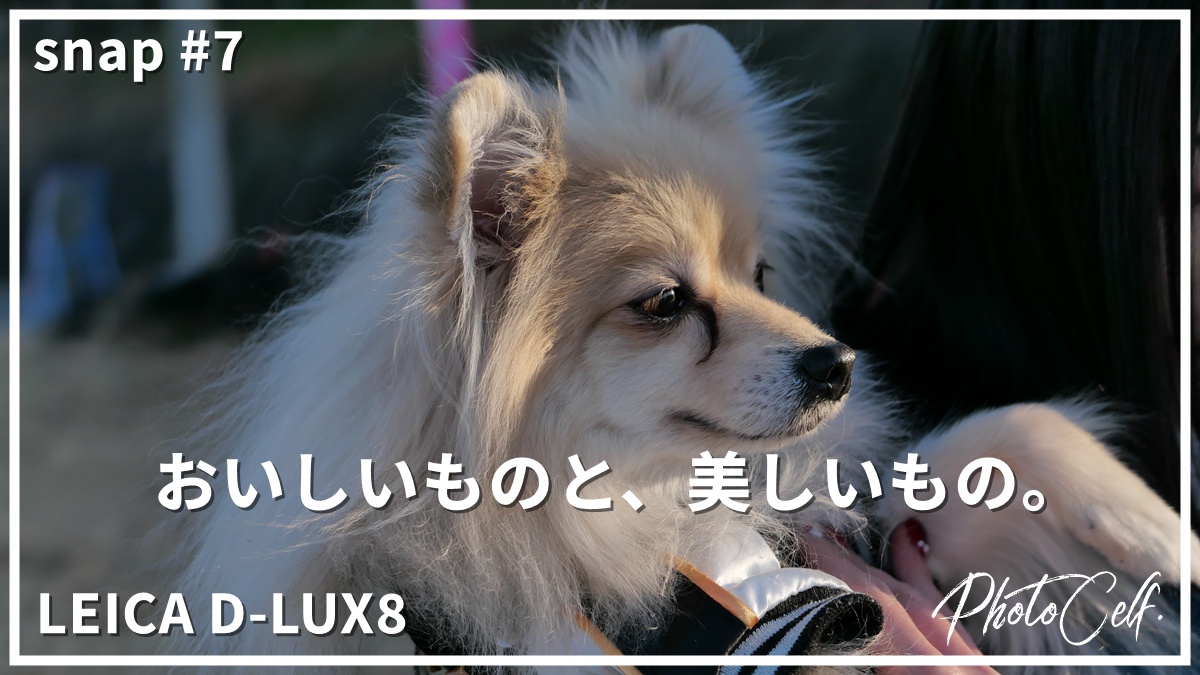 snap#7 LEICA D-LUX8 おいしいものと、美しいもの。