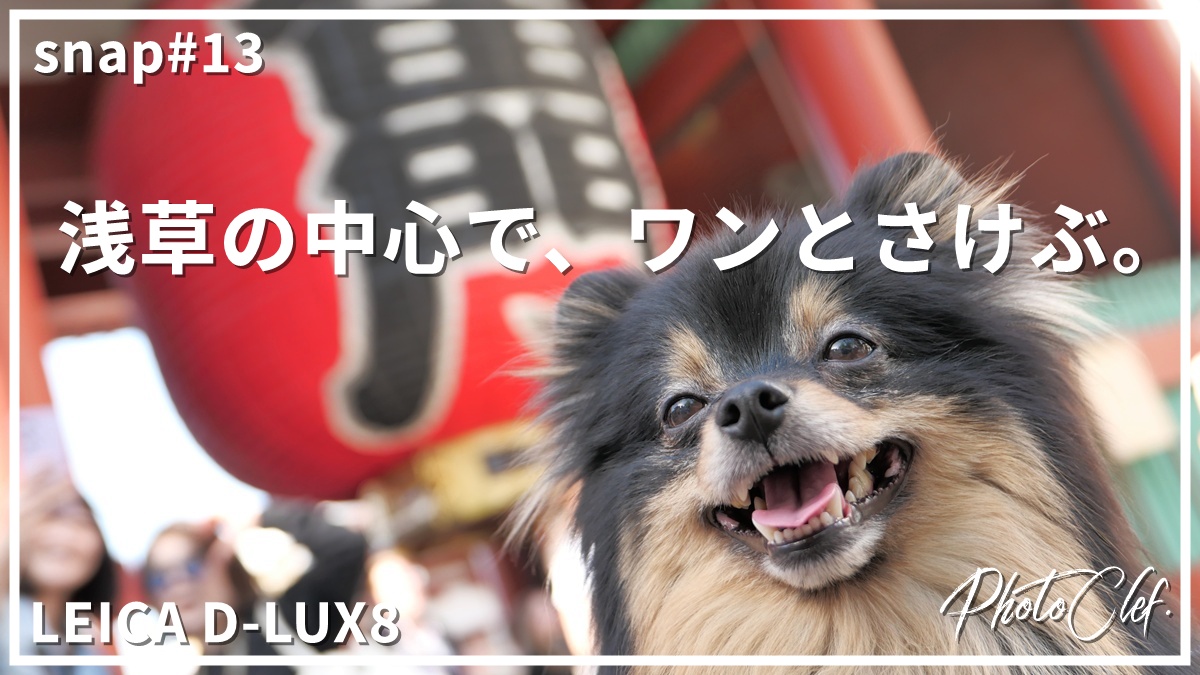 LEICA D-LUX8で撮る浅草散歩作例 | カフェや屋外で美しく撮る設定を解説